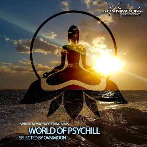 World Of Psychill 2021 торрентом