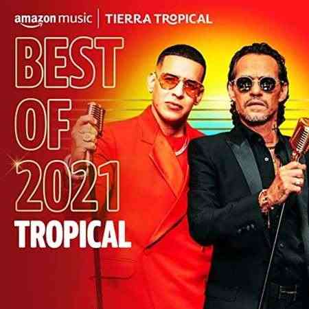 Best of 2021꞉ Tropical
