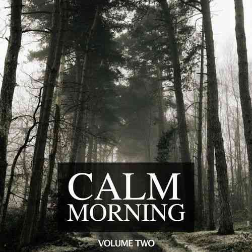Calm Morning, Vol. 2 2022 торрентом