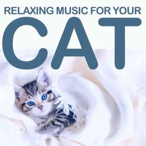 Relaxing Music for Your Cat 2021 торрентом