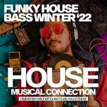 Funky House Bass Winter 2022 торрентом