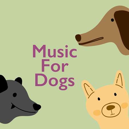 Music For Dogs 2022 торрентом