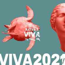 Viva 2021.2