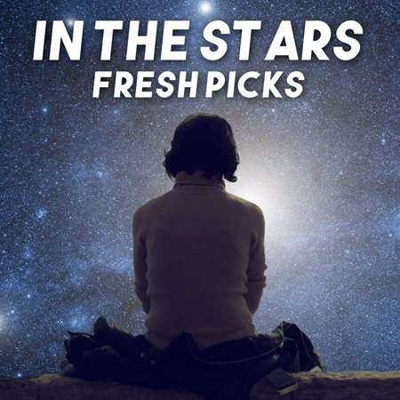 In the Stars - Fresh Picks 2022 торрентом