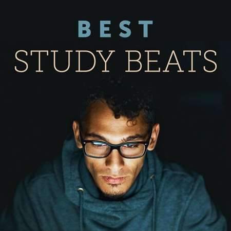 Best Study Beats 2022 торрентом