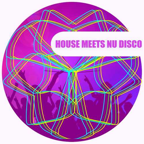 House Meets Nu Disco