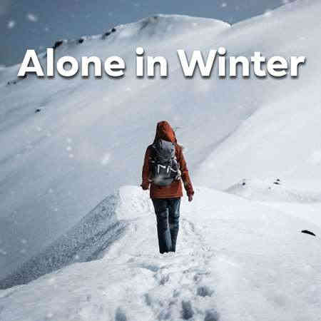 Alone In Winter 2022 торрентом