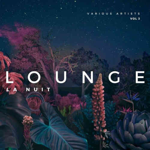 Lounge La Nuit [Vol. 3] 2022 торрентом