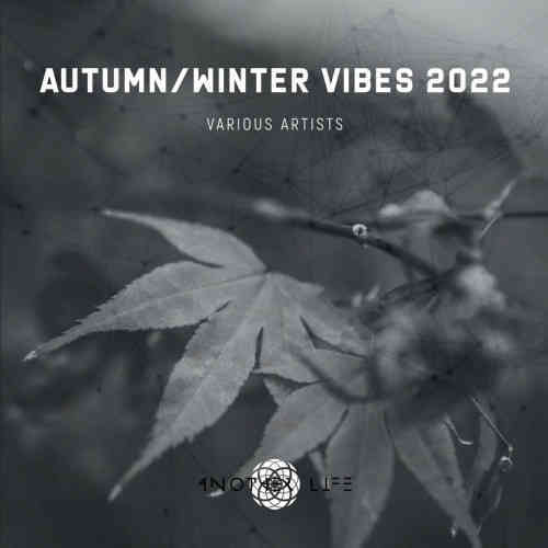 Autumn / Winter Vibes 2022