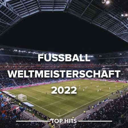 Fußball Weltmeisterschaft 2022 торрентом