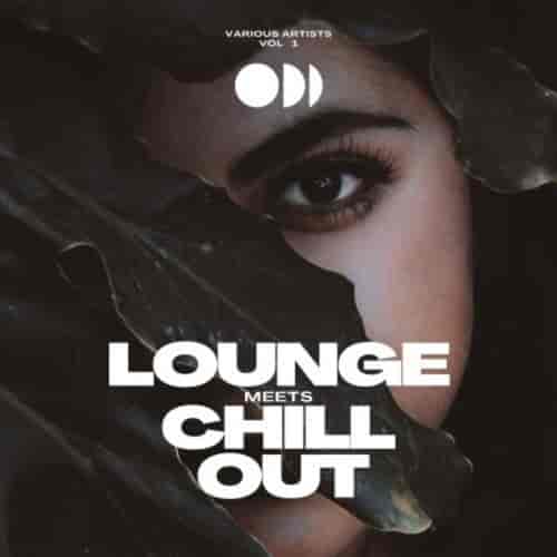 Lounge Meets Chill Out, Vol. 1 2022 торрентом