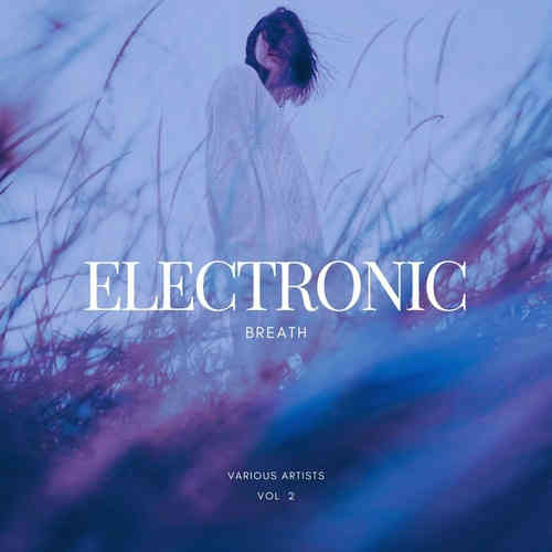 Electronic Breath [Vol. 2] 2022 торрентом
