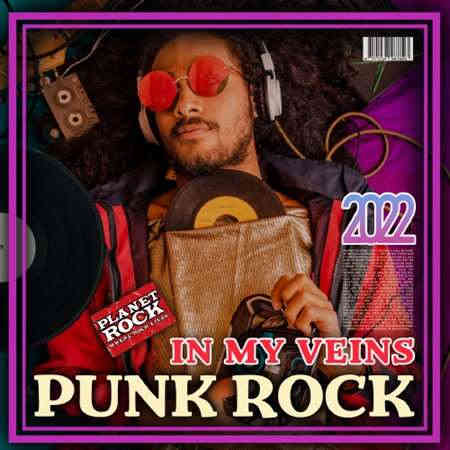 Punk Rock In My Veins 2022 торрентом