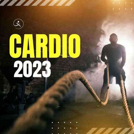 Cardio 2023 2023 торрентом