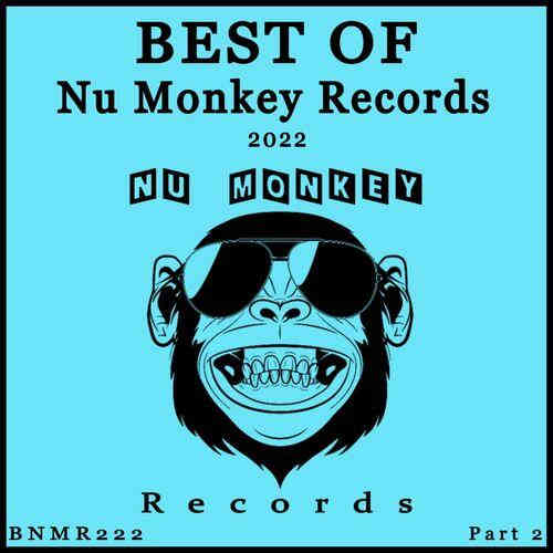 Best Of Nu Monkey Records 2022 Part 2 2023 торрентом