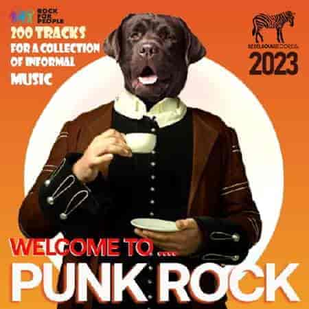 Welcome To Punk Rock