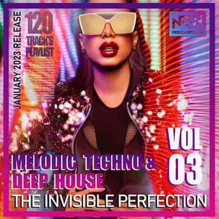 The Invisible Perfection Vol.03 2023 торрентом