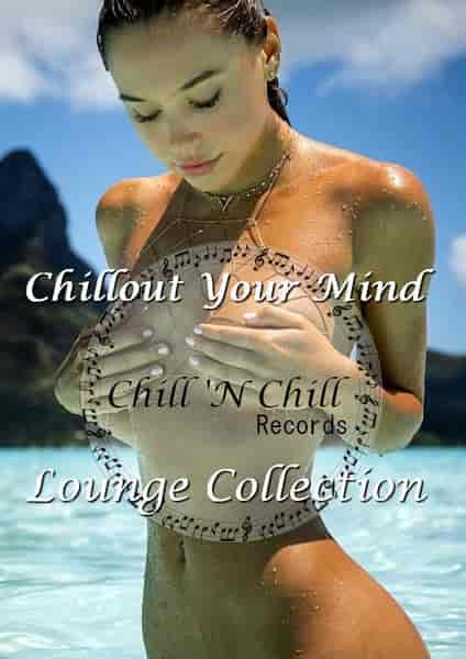 Chill 'N Chill: Collection 2017-2023 2023 торрентом