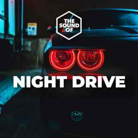 Night Drive 2023 торрентом