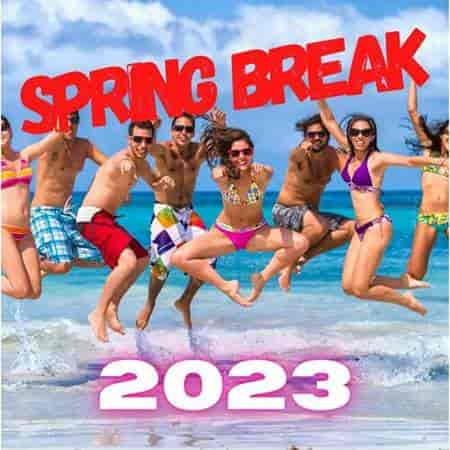 Spring Break 2023 торрентом