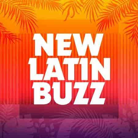 New Latin Buzz