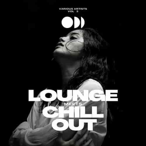 Lounge Meets Chill Out, Vol. 3 2023 торрентом