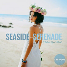Seaside Serenade: Chillout Your Mind 2023 торрентом