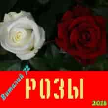 Розы от Виталия 72