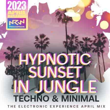 Hypnotic Sunset In Jungle 2023 торрентом