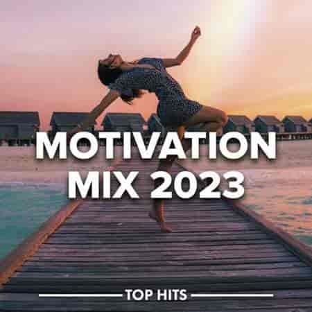 Motivation Mix