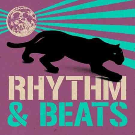 Rhythm & Beats
