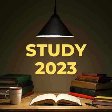 Study 2023 торрентом