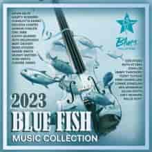 Blue Fish Collection 2023 торрентом