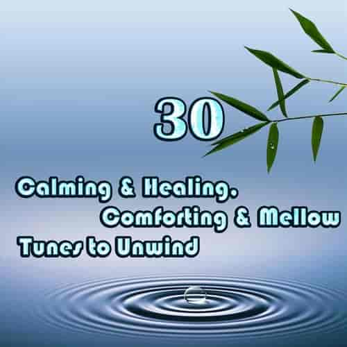 Calming & Healing, Comforting & Mellow Tunes to Unwind 2023 торрентом