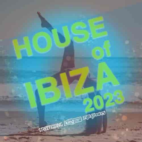 House Of Ibiza 2023 2023 торрентом
