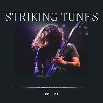 Striking Tunes Vol 1 2023 торрентом