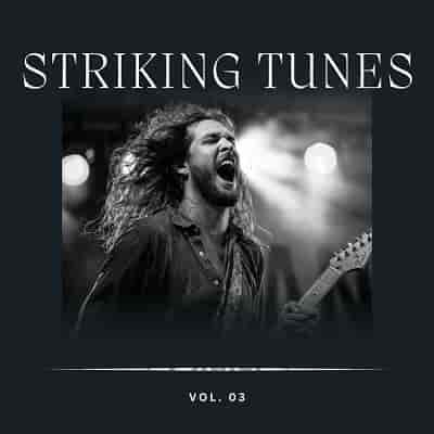 Striking Tunes Vol 3 2023 торрентом