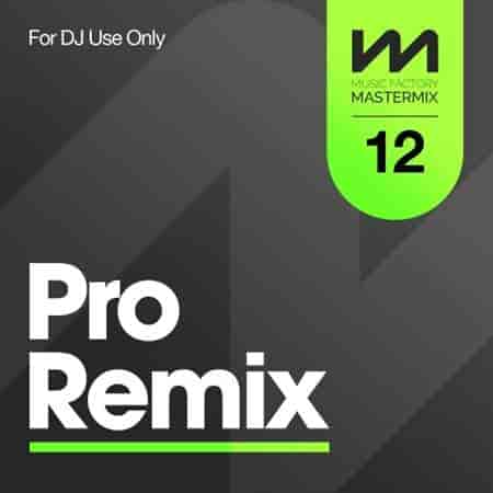 Mastermix Pro Remix 12 2023 торрентом