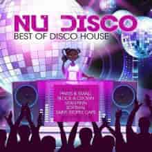 Nu Disco 2023 (Best Of Disco House)